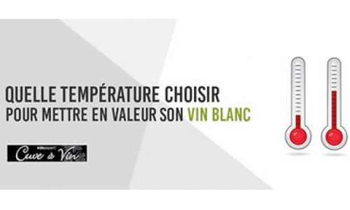 Quelle température choisir pour mettre en valeur son vin blanc