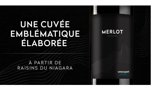 MERLOT NIAGARA - DISPONIBLE EN SEPTEMBRE